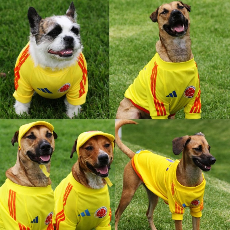 Camiseta Colombia Edición Copa América