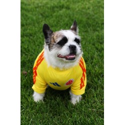 Camiseta Colombia Edición Copa América
