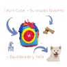 Ayni Cube