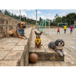 Pañoletas Mundialistas