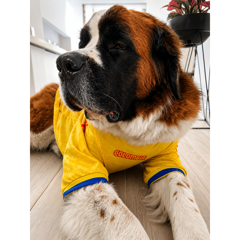 Camiseta Macondo Colombia