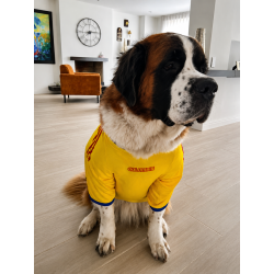 Camiseta Macondo Colombia
